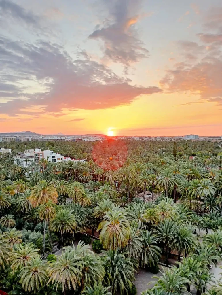 free-tour-elche-entre-palmeras-9